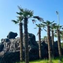 더 휴 펜션 이미지