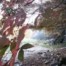 만나펜션 이미지