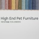 달라스레오 이미지