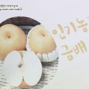 금배농장 이미지