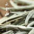백호환경 이미지