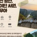 진투어 이미지