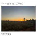호주2 | 울룰루 1일차 낙타가되 (더로스트카멜 리조트, 카멜 선셋 투어)