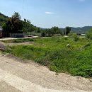 창녕군도천면논리보건진료소 | 창녕농지경매 창녕군 도천면 논리 281 외 4필지 №2021 타경 911