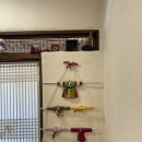 소담채2 | 옥과 신상맛집 소담채 내돈내산 솔직후기, 주차