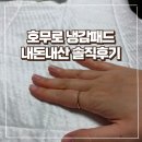 슬라운드 | 비싸도 제값하는 호무로 냉감패드 내돈내산 추천 슬라운드 비교 후기 라지킹 가격 할인