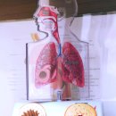 맑은숨내과의원 | 알레르기내과 전문의가 천식 알레르기비염 동시에 잡아주는 맑은내과의원