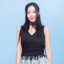 핑크홀리 이미지