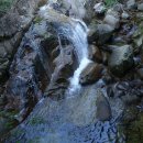 제53차 천안온누리산악회 정기산행(강원 평창 오대산(진고개~소금강계곡)산행 이미지