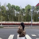 돌담할망보말톳칼국수 이미지