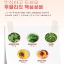 시원헬스케어 이미지