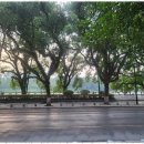 다온여행사 이미지