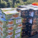 선영이네농장 이미지