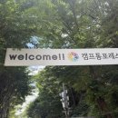 캠프통포레스트 | [가평 빠지 추천] 캠프통 포레스트 리얼 후기 국내 유일 타노스부터 17종 수상레저까지