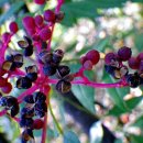 답십리공원 이미지