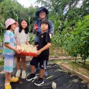 옴천초등학교 이미지