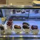 현대화방 이미지