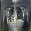 연세다온재활의학과의원 이미지