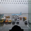 제주고세호해장국 - 태안군 후곡로 70 | 제주고세호해장국