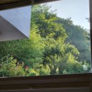 스테이 도랑 이미지