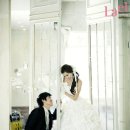 유채영 카카오 검색결과