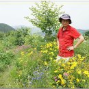 남진만농장 이미지