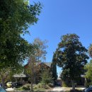 다시와요민박 이미지