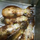 구산비치모텔 이미지