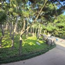 카페코지 이미지