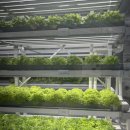 연암농장3 이미지