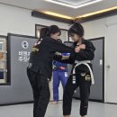 비앤지 주짓수&합기도 이미지