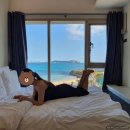하루힐링하라 | 쉬고, 명상하고, 힐링하라 (제주 취다선리조트)