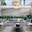 린동물병원 | 논현 피부관리 삐땅기린뷰티 LDM 트리플 관리 후기