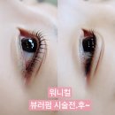 신당역 속눈썹 워니컬 손상없는 속눈썹펌 후기