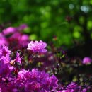 동산미용실 이미지