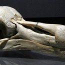 대양자원 이미지