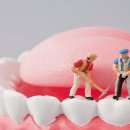 박세진치과의원 | 뇌졸중 위험 ‘쑥’... 전신 질환 부르는 ‘잇몸병’ 어떻게 관리할까