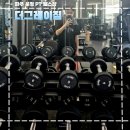 더그레이짐 이미지