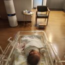 라벨팜므 산후조리원 | 라벨팜므 산후조리원 2주 후기