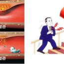 폴리코사놀 (혈관 청소) 이미지