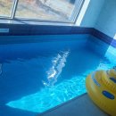 젤코바480 이미지