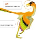 미인창조 네이버블로그
