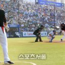 블랙라이언스 스포츠서울