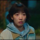 장미카센타 이미지