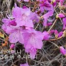 어머니 - 서울바로크싱어즈 (윤연모 시,권기현 곡) 이미지