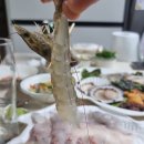 수정회센타 | (연안부두) 맘모스회센타 포장 후기