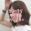 네바에(NEVAEH) | 어중간한 어깨선 단발머리 뿌리 볼륨 매직 &amp; C컬 후기