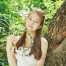 1207 Daum카페