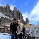 산들바람 이미지