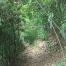 장선리 마을회관 이미지